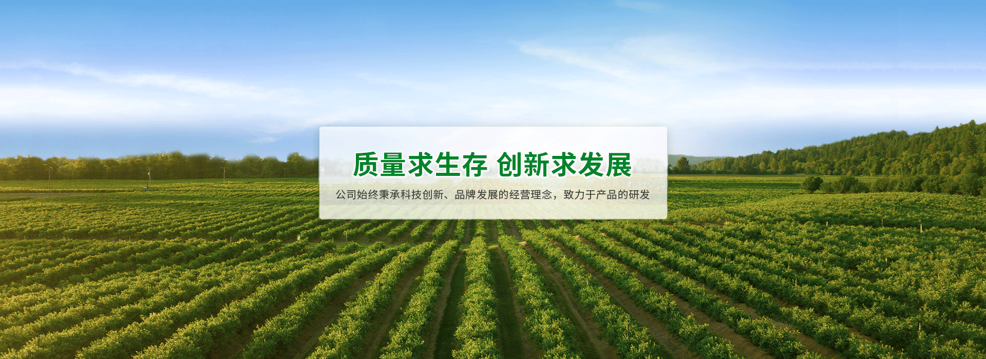 首页banner